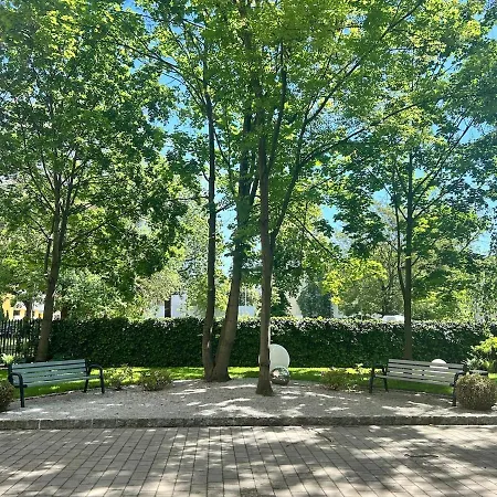 Apartamento Penthouse In Heart Of *